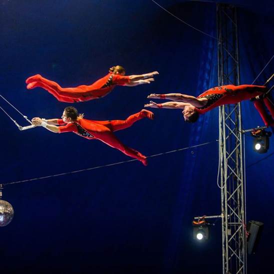 http://circoev.com/yahoo_site_admin/assets/images/20840735_367518530331117_3236242291396902863_n.228110617_std.jpg