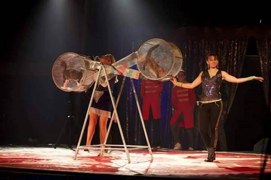 http://circoev.com/yahoo_site_admin/assets/images/20258424_1401876816561567_4932287515405303899_n.201140050_std.jpg