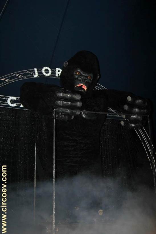 http://circoev.com/yahoo_site_admin/assets/images/28277161_1609249635824283_2991624890000886131_n.58155430_std.jpg