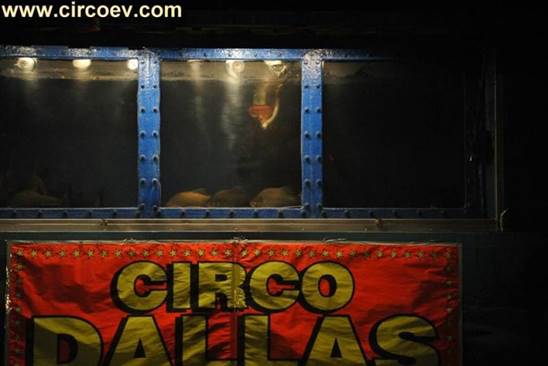 http://circoev.com/yahoo_site_admin/assets/images/28277128_1609284699154110_5607637379945246762_n.58155857_std.jpg