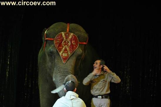 http://circoev.com/yahoo_site_admin/assets/images/28166714_1609292232486690_2256801491059758763_n.58155910_std.jpg