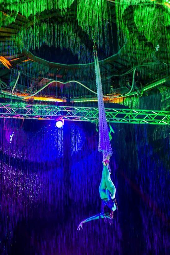 http://circoev.com/yahoo_site_admin/assets/images/27867343_1602827129799867_587889828576163970_n.48143908_std.jpg