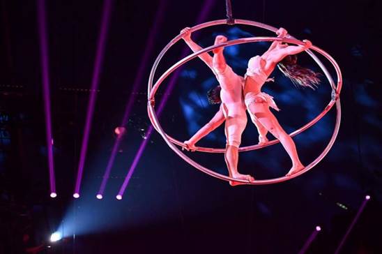 http://circoev.com/yahoo_site_admin/assets/images/26904237_1574706399278607_749496966802620641_n.21140725_std.jpg