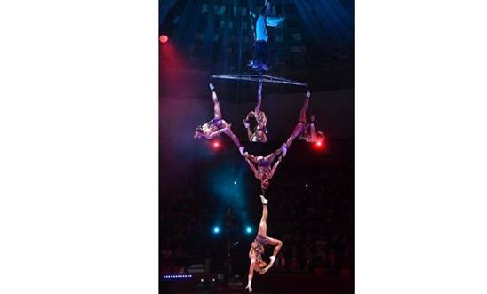 http://circoev.com/yahoo_site_admin/assets/images/efe7022380jpg_964580579.10144303_std.jpg