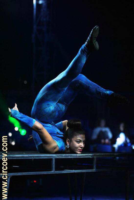 http://circoev.com/yahoo_site_admin/assets/images/DSC_0955_1280x857.36274939_std.jpg