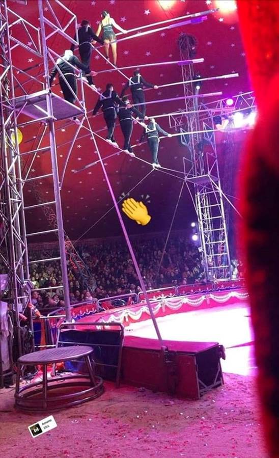 http://circoev.com/yahoo_site_admin/assets/images/47124533_1970062359743007_7379635408105111552_n.33524513_std.jpg