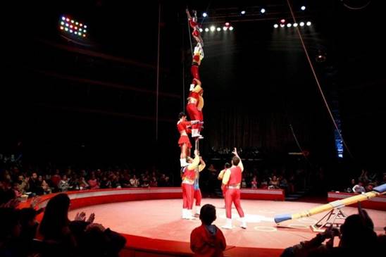 http://circoev.com/yahoo_site_admin/assets/images/46440283_1950369535045623_8331598077286678528_n.32173534_std.jpg