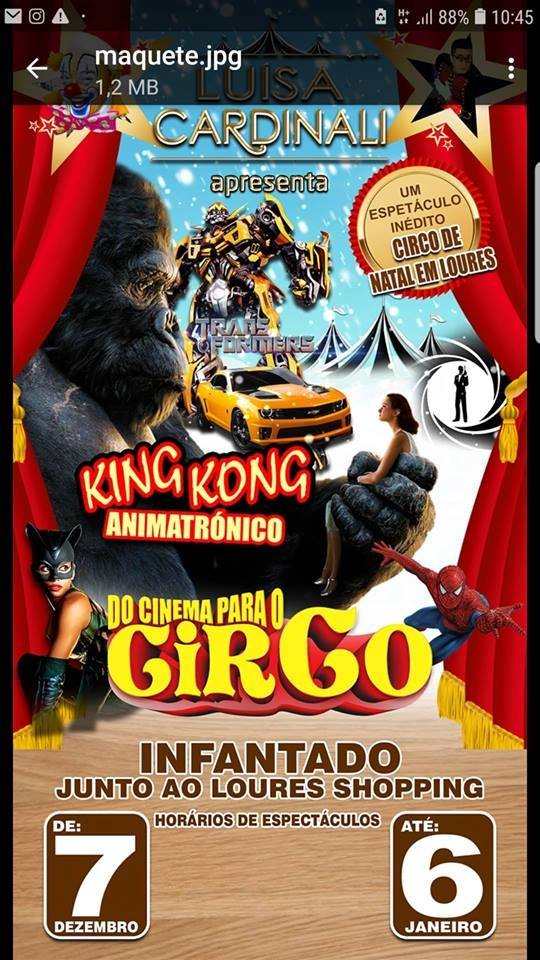 http://circoev.com/yahoo_site_admin/assets/images/46224151_1947056858710224_6036459123007029248_n.318142504_std.jpg