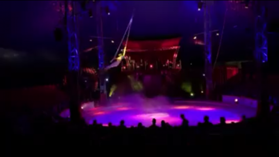 http://circoev.com/yahoo_site_admin/assets/images/45000090_1923814921034418_4997527562264510464_n.30295737_std.png