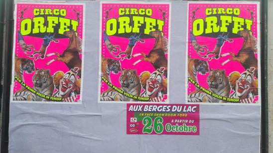 http://circoev.com/yahoo_site_admin/assets/images/cirque.29870831_std.jpg