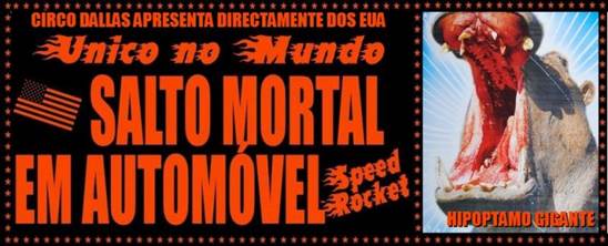 http://circoev.com/yahoo_site_admin/assets/images/10733103_841694762548420_1835893197_ocev29830522_std.27961529_std.jpg