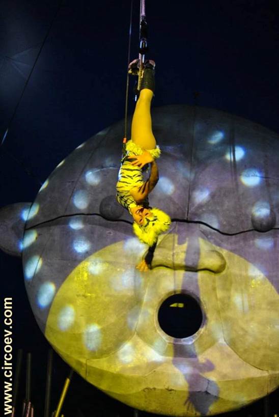 http://circoev.com/yahoo_site_admin/assets/images/39409292_1829250483824196_5807582016610238464_n.24073804_std.jpg