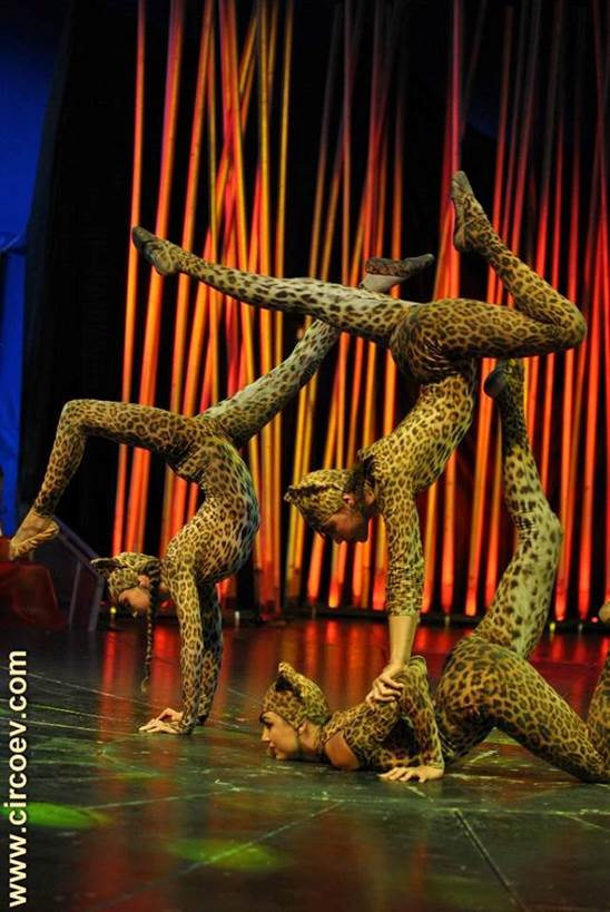 http://circoev.com/yahoo_site_admin/assets/images/39409317_1829229987159579_4920762632530558976_n.23870551_std.jpg
