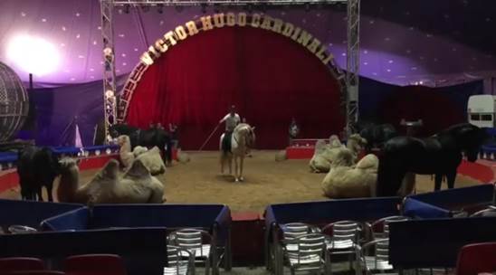 http://circoev.com/yahoo_site_admin/assets/images/39846688_1836311856451392_1009282259036930048_n.23432557_std.png