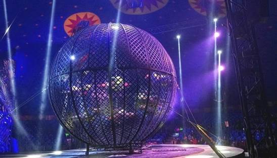 http://circoev.com/yahoo_site_admin/assets/images/5b5215d1a8cf9jpeg.21035145_std.jpg
