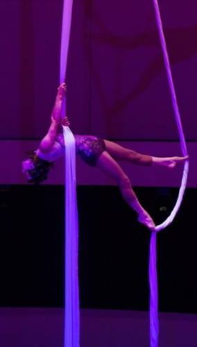 http://circoev.com/yahoo_site_admin/assets/images/35346480_1726266790789233_4906354765304168448_n.164150508_std.jpg