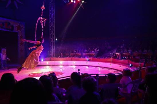 http://circoev.com/yahoo_site_admin/assets/images/34092908_1682382888465903_112050478367375360_n.151142507_std.jpg
