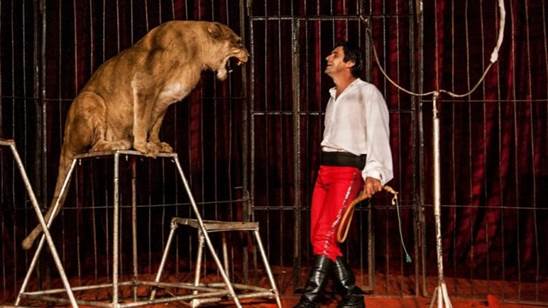 http://circoev.com/yahoo_site_admin/assets/images/circo-1024x576.120155922_std.jpg