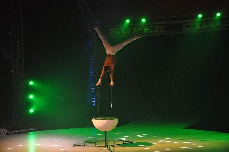 http://circoev.com/yahoo_site_admin/assets/images/133725611_2773906079545443_6717730069319986316_o.36581814_std.jpg
