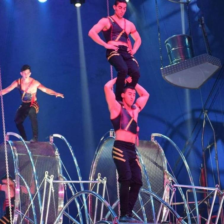 http://circoev.com/yahoo_site_admin/assets/images/131071653_189559886204244_7312133134693014404_o.35730457_std.jpg