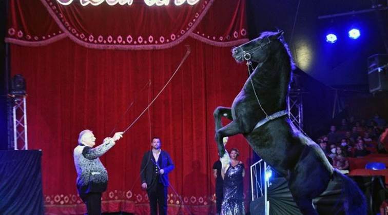 http://circoev.com/yahoo_site_admin/assets/images/122430741_3433110936771468_4057006712555604338_n.29850816_std.jpg