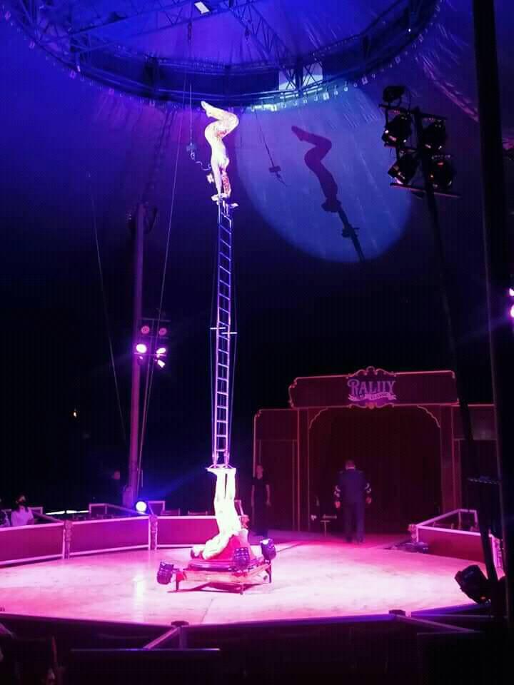http://circoev.com/yahoo_site_admin/assets/images/120899427_3378028758946353_5405457800140478649_n.27923739_std.jpg