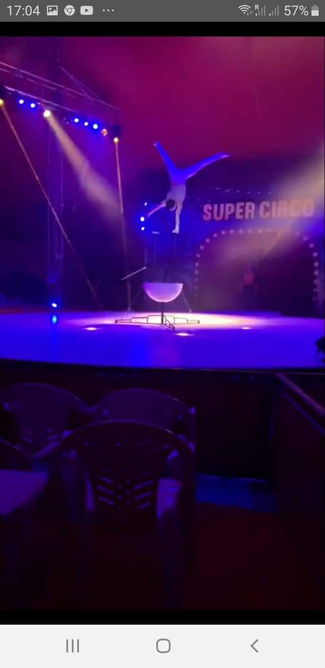 http://circoev.com/yahoo_site_admin/assets/images/118799473_3271242582958305_8244314978354019289_o.247170315_std.jpg