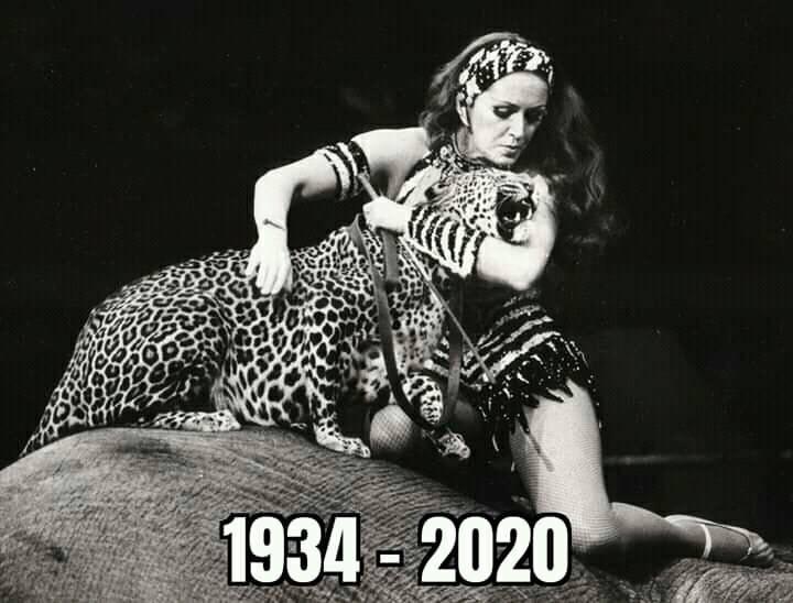 http://circoev.com/yahoo_site_admin/assets/images/117973665_1249106562087898_7354391270963231168_n.23331447_std.jpg