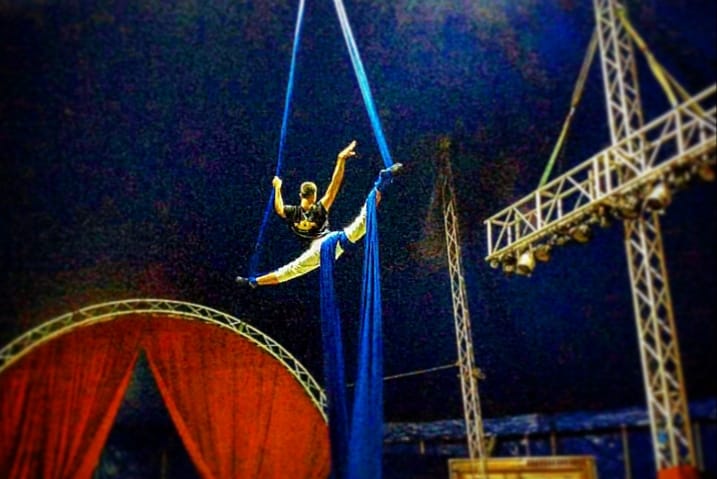 http://circoev.com/yahoo_site_admin/assets/images/117653876_1175922882791523_169880835530311648_n.223143212_std.jpg