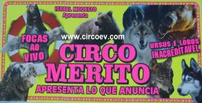 http://circoev.com/yahoo_site_admin/assets/images/DSC_1839.22241707_std.JPG