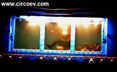 http://circoev.com/yahoo_site_admin/assets/images/DSC_4036.32980821_std.JPG
