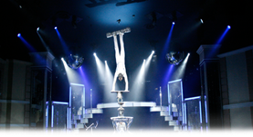 http://circoev.com/yahoo_site_admin/assets/images/fotografia.138115524_std.PNG