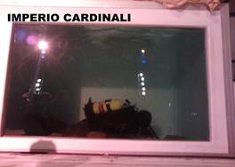http://circoev.com/yahoo_site_admin/assets/images/P110512_1810.135131616_std.jpg