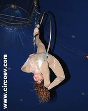 http://circoev.com/yahoo_site_admin/assets/images/DSC_2292.101153930_std.JPG
