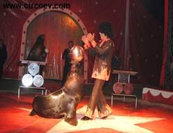 http://circoev.com/yahoo_site_admin/assets/images/375509_283779715007573_100001266411941_894827_2011774762_n.1871931_std.jpg