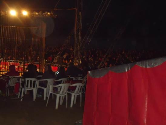 http://circoev.com/yahoo_site_admin/assets/images/602667_10200219903725223_686248586_n.357174355_std.jpg