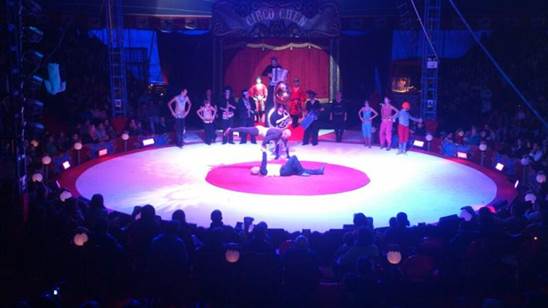 http://circoev.com/yahoo_site_admin/assets/images/526707_390961777645115_1380902197_n.336153205_std.jpg