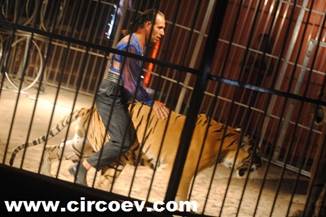 http://circoev.com/yahoo_site_admin/assets/images/guilhermecardinali.21285048_std.jpg