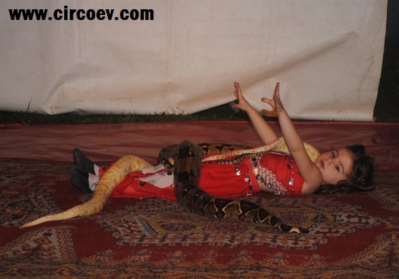 http://circoev.com/yahoo_site_admin/assets/images/DSC_1492.53115149_std.JPG