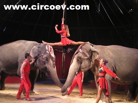 http://circoev.com/yahoo_site_admin/assets/images/4193289497_ebfbf25856_o.315115128_std.jpg