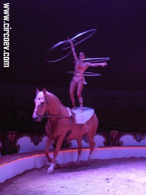 http://circoev.com/yahoo_site_admin/assets/images/1374898_548777218538202_324219495_n.307150926_std.jpg