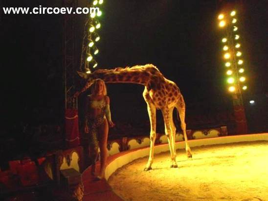 http://circoev.com/yahoo_site_admin/assets/images/1383611_547505595332031_1837031917_n.305104136_std.jpg
