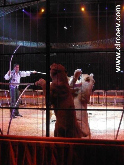 http://circoev.com/yahoo_site_admin/assets/images/531921_525543977528193_578102377_n.259113706_std.jpg
