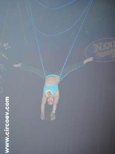 http://circoev.com/yahoo_site_admin/assets/images/DSC_1056.230125307_std.JPG