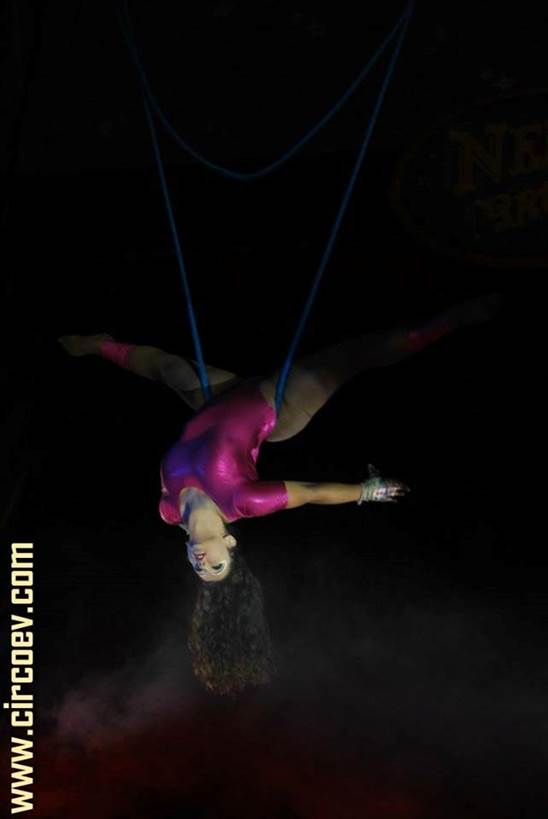 http://circoev.com/yahoo_site_admin/assets/images/10405328_709622305787025_1044481596955566866_n.27195428_std.jpg