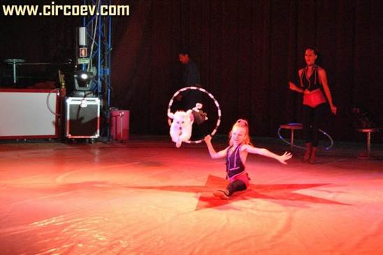 http://circoev.com/yahoo_site_admin/assets/images/DSC_0362.27010333_std.jpg