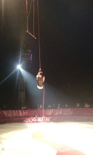 http://circoev.com/yahoo_site_admin/assets/images/10351648_701469483268974_6303558168042000817_n.255155119_std.jpg
