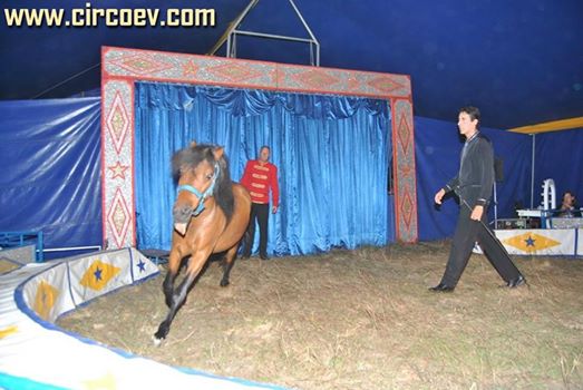 http://circoev.com/yahoo_site_admin/assets/images/10703575_700271643388758_7750160804131568669_n.251141236_std.jpg