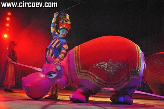 http://circoev.com/yahoo_site_admin/assets/images/DSC_0330.23093630_std.JPG