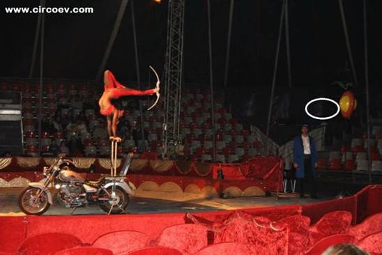 http://circoev.com/yahoo_site_admin/assets/images/1509047_755601037855818_7717375183982652041_n.361165657_std.jpg